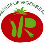 Indian Institute of Vegetable Research - [IIVR]